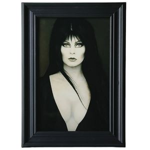 Elvira Horror Queen Cult Classic Gothic Punk Rock 80s 90s framed print Pin Up